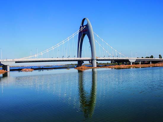 興城市海河大橋1
